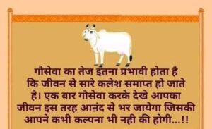 WhatsApp Image 2020-09-15 at 3.40.29 PM (24)